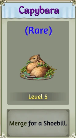 Capybara | Dragons & Elfs Wiki | Fandom