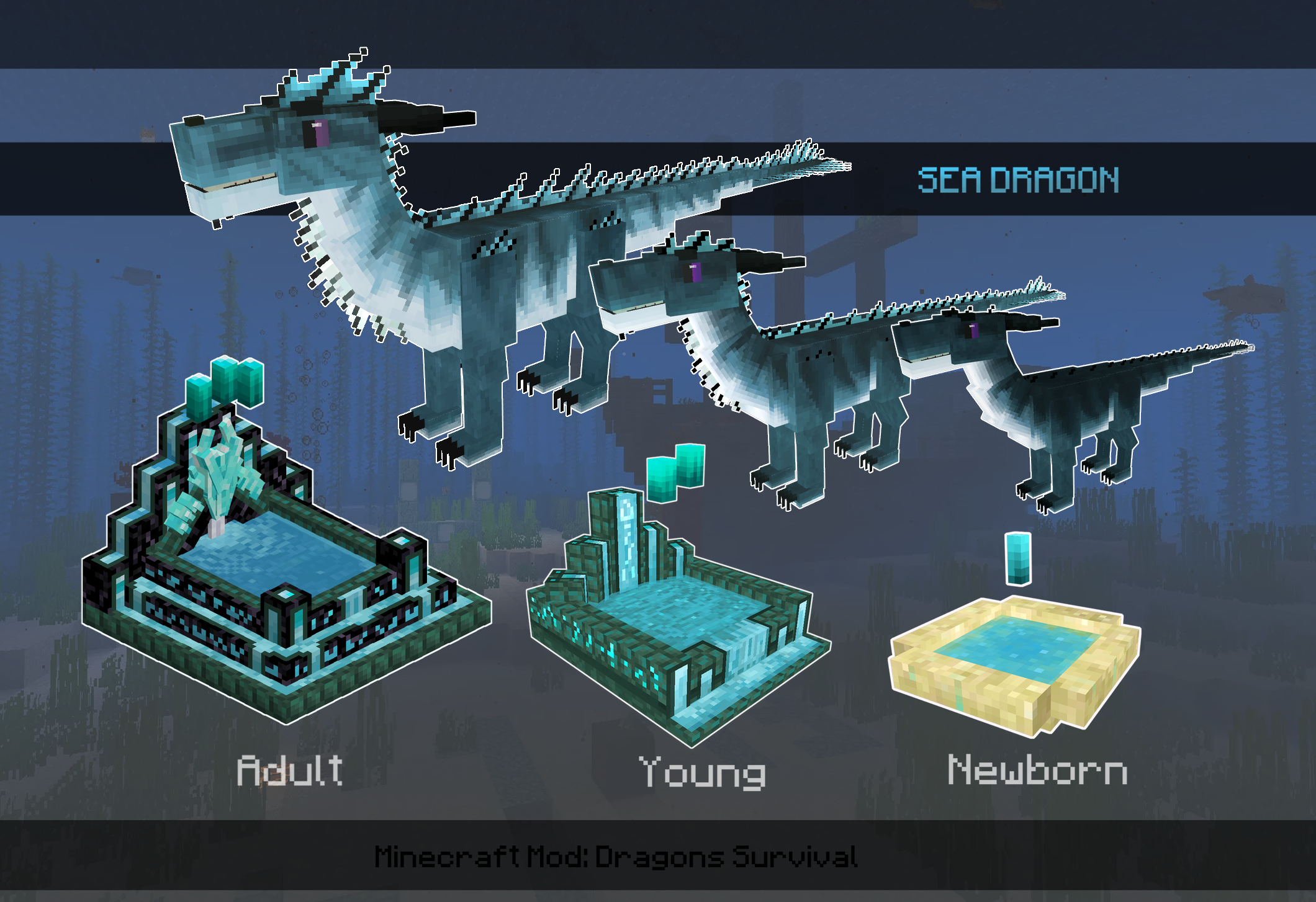 Sea Dragon | Dragon's Survival Wiki | Fandom Sea Dragon | Dragon's Survival Wiki | Fandom