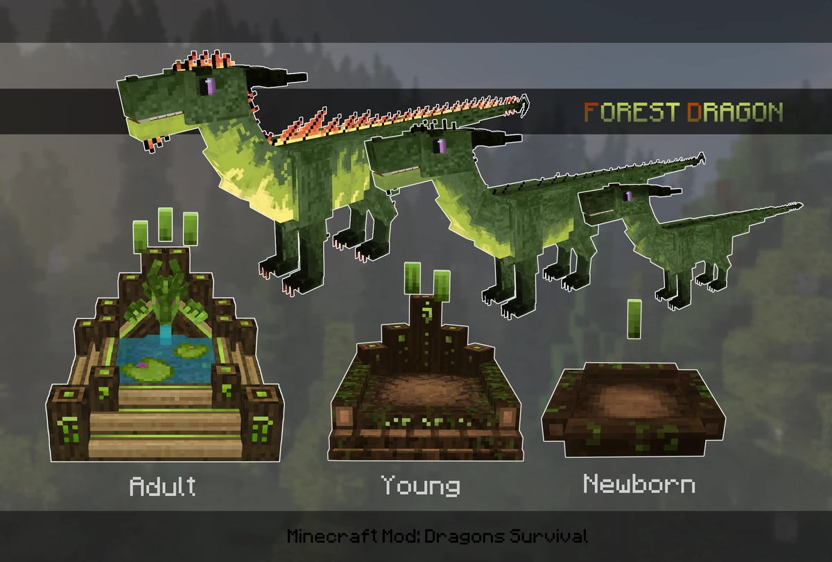 Forest Dragon | Dragon's Survival Wiki | Fandom