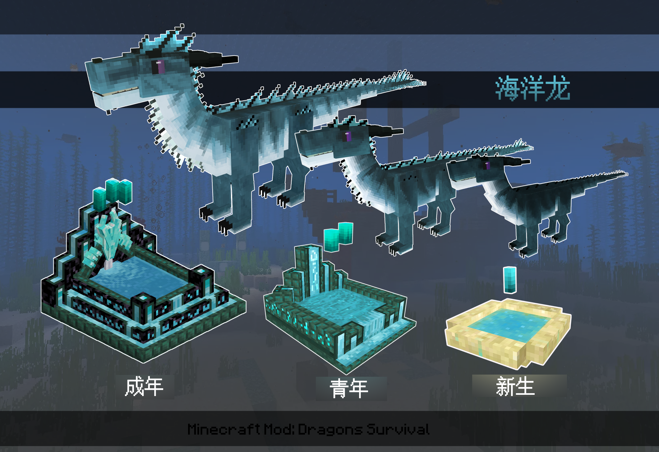 海洋龍 龙之生存wiki Fandom 海洋龍 龙之生存wiki Fandom
