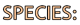 Species