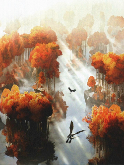 Wild Woodland Transition.png