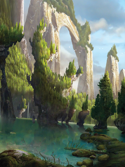 Berk Forest Transition.png