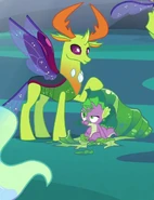 Spike and Thorax