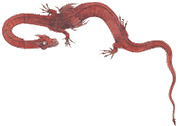 A dull red serpentine dragon with short legs and small wings