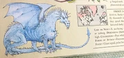 A white dragon with icicle-like spikes. The dragon is on a page in an open book.