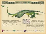 A webpage designed to look like a page from the Dragonology Books