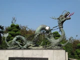 Korean Dragon