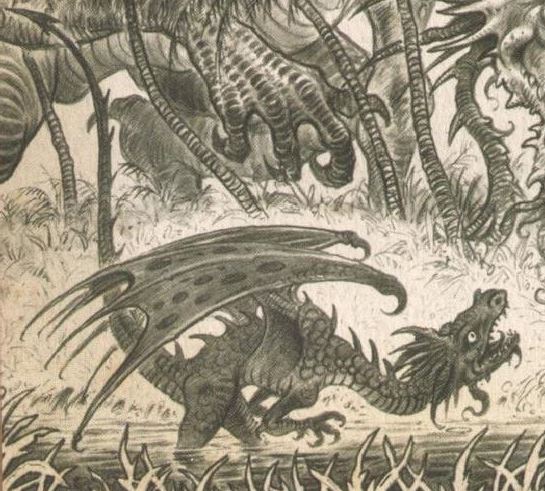 Draconodon (Dragonology) | Dragons | Fandom