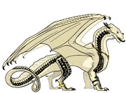 A white sandwing with black markings and a gold bangle on one ankle