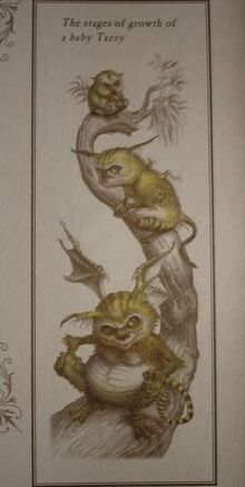 TASMANIANDRAGON2