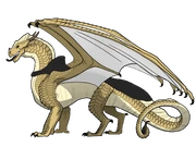 A sandwing wearing some sort of robe