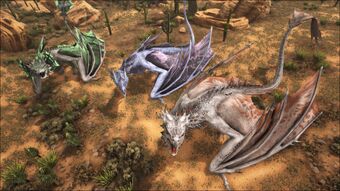 Wyvern Ark Dragons Fandom