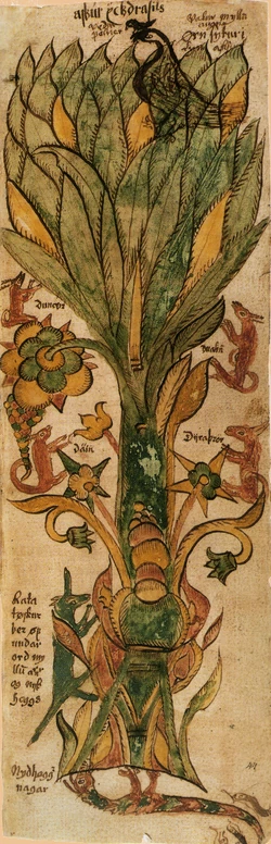an illustration from a 17th century Icelandic manuscript of the Yggdrasill Tree and the creatures that inhabit it.