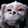 Battle-Falkor