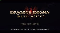 Character Editor Dragon S Dogma Wiki Fandom