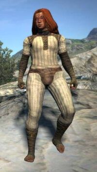 Set of Fop's Trek Wear, Dragon's Dogma Wiki