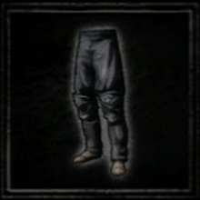 Assassin S Breeches Dragon S Dogma Wiki Fandom An expert at covert attacks aided by mastery of a variety of weapons.. dragon s dogma wiki