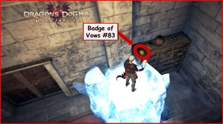 Use a Frigor ice block to obtain the badge