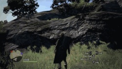 Witchwood Dragon S Dogma Wiki Fandom Witchwood Dragon S Dogma Wiki Fandom