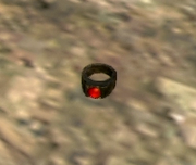 Wrymking's Ring