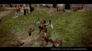 Dragon's Dogma Screenshot 29