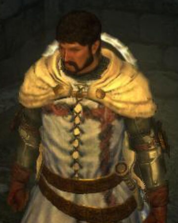 Hero S Surcoat Dragon S Dogma Wiki Fandom