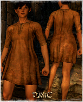 Armour Torso Tunic