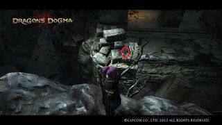 Badge of Vows 39, Dragon's Dogma Wiki