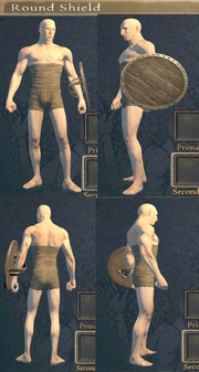 Round shield details