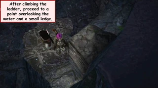 Fig. 2: Climb the first ladder and proceed to a point overlooking the water and a small ledge.