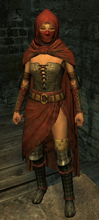 The Maiden's Set is one of my favorite armor set in Dragon's Dogma. It's  light, graceful and so beautiful to see in action. : r/DragonsDogma