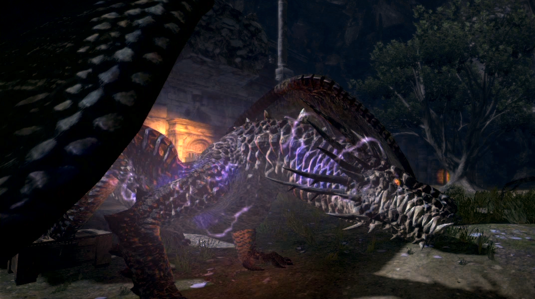 Drake Dragon's Dogma 2 vs Dark Arisen. : r/DragonsDogma