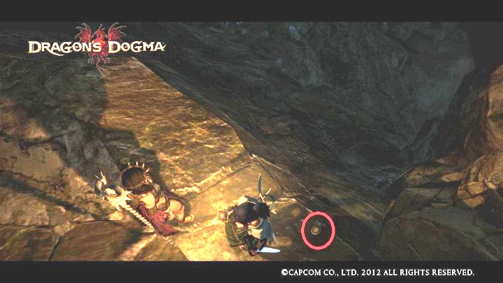 Dragons Dogma : From a Different Sky 39 - 40 