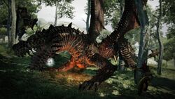 Drake Dragon's Dogma 2 vs Dark Arisen. : r/DragonsDogma