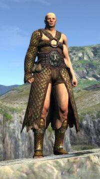 Set of Fop's Trek Wear, Dragon's Dogma Wiki