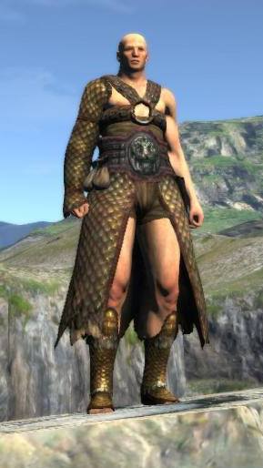 Armor, Clothing and Weapon Sets, Dragon's Dogma Wiki