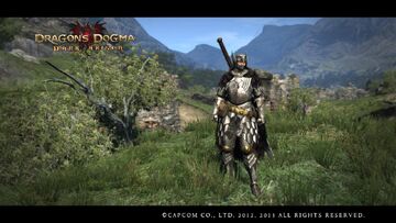 Armor Clothing And Weapon Sets Dragon S Dogma Wiki Fandom