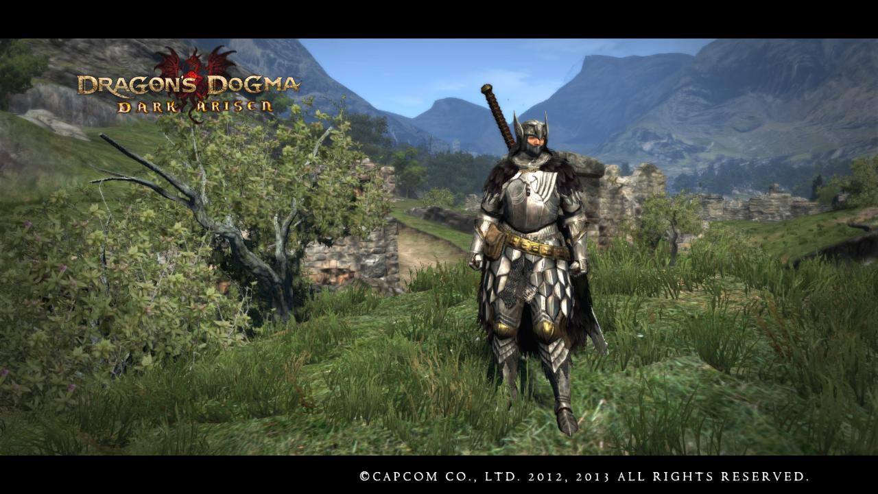 Dragon's Dogma: Gryphic Armor 