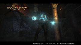 Daimon Dragon S Dogma Wiki Fandom