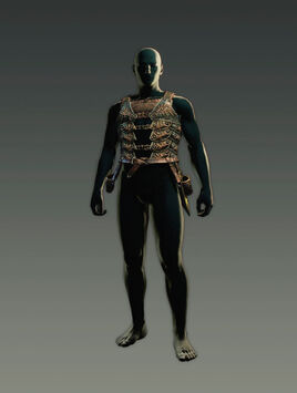 Vagabond Armor