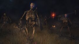 DD2-Skeleton