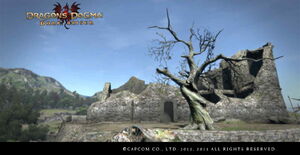 Dragon's Dogma Dark Arisen Screenshot 13