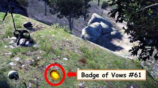 Badge location (badge enlarged)