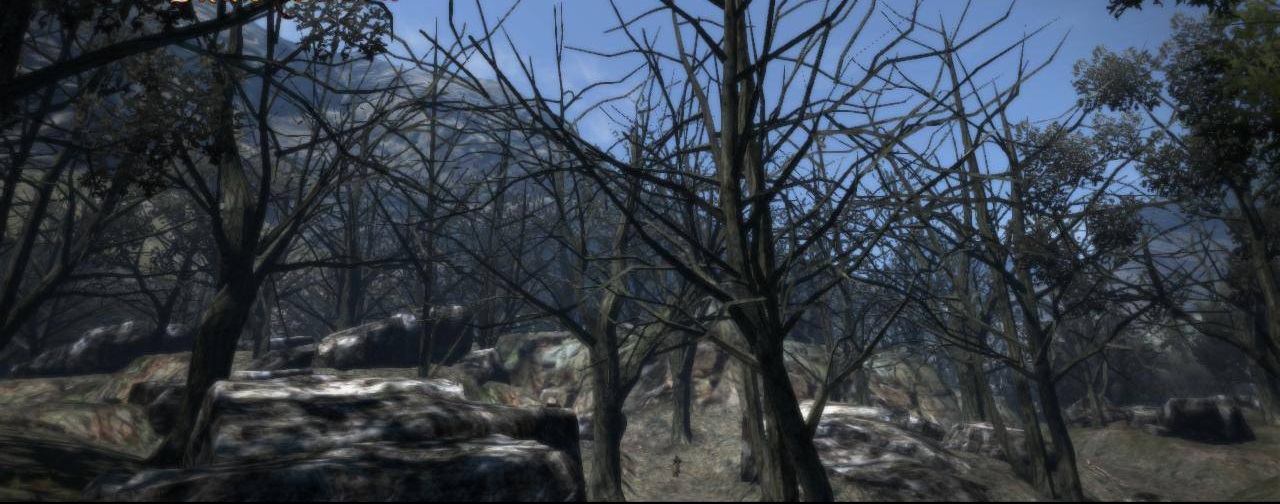 Wilted Forest Mod - Location and Items from 'Dragon's Dogma' Videogame  [1.3.2] [ModLoader] Minecraft Mod