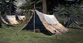 Abandoned Campsite