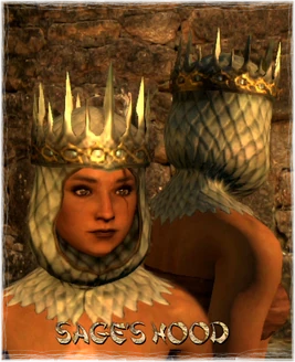 Armour Head Sage's Hood