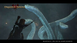 Hydra, Dragon's Dogma Wiki