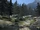 Cursewood