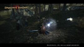 Magick cannon projectile